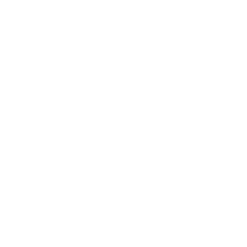 noun_Pie Chart_624648